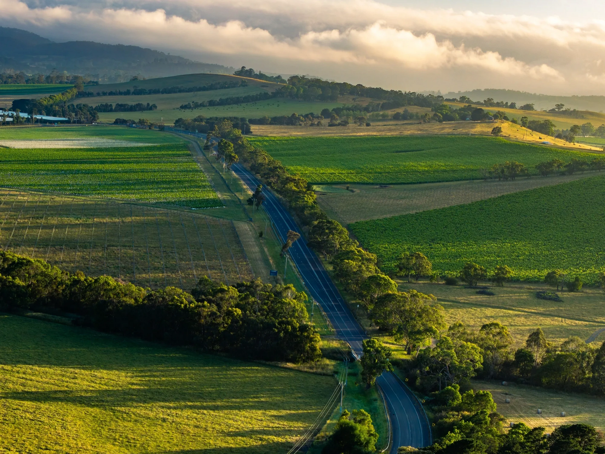 Yarra Valley vineyards and rolling hills at golden hour